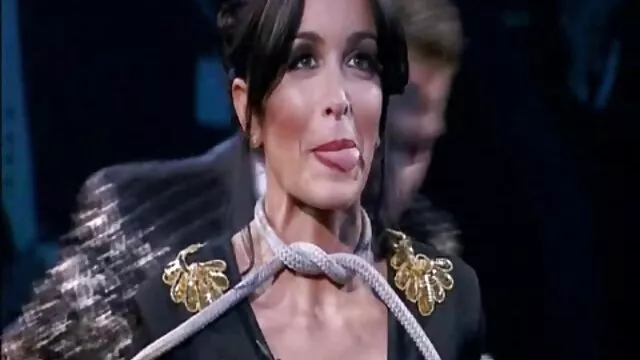 زرق و برق دار, منحرف کردن اذهان او مرد نوجوان از کار دانلود فیلم سینمایی خانوادگی سکسی