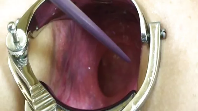 زن و شوهر مسن فساد زیر درخت غان در فیلم سینمایی سکسی عربی طبیعت