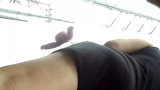 خصوصی فیلم سینمایی سکسی نیمه bongakata ضبط با چند, لزبین